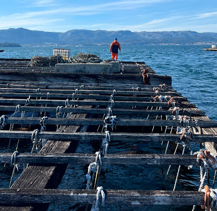 pechetourisme-espagne.fr Excursions pour voir les élevages de moules en mer sur Islote Areoso depuis Isla de Arosa