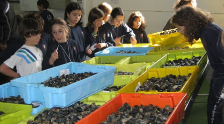 Excursions au port et marché aux poissons à Galice